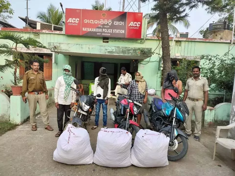 Odisha : लूटपाट के प्रयास में बदमाशों की गोलीबारी में महिला घायल, पांच गिरफ्तार Odisha : लूटपाट के प्रयास में बदमाशों की गोलीबारी में महिला घायल, पांच गिरफ्तार