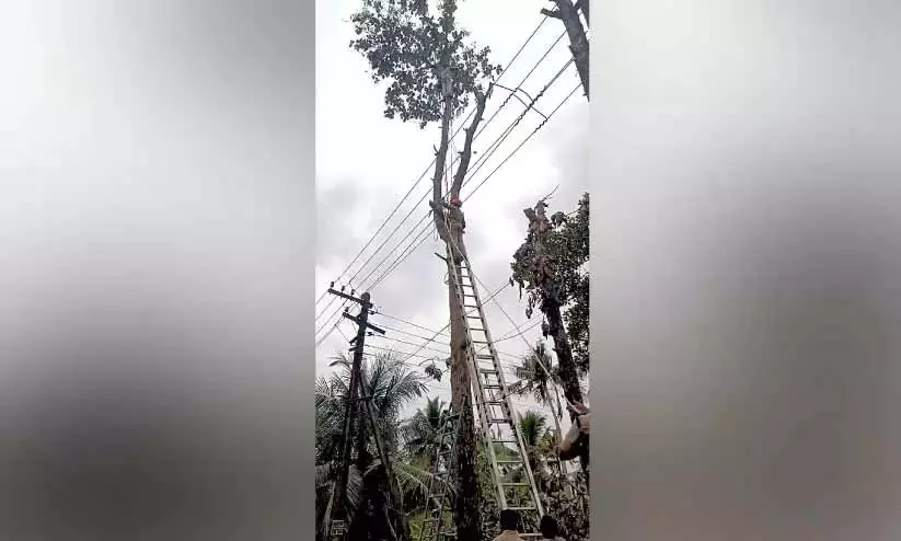 Kerala : अग्निशमन कर्मियों ने बहादुरी से पेड़ पर फंसे एक कर्मचारी को बचाया Kerala : अग्निशमन कर्मियों ने बहादुरी से पेड़ पर फंसे एक कर्मचारी को बचाया