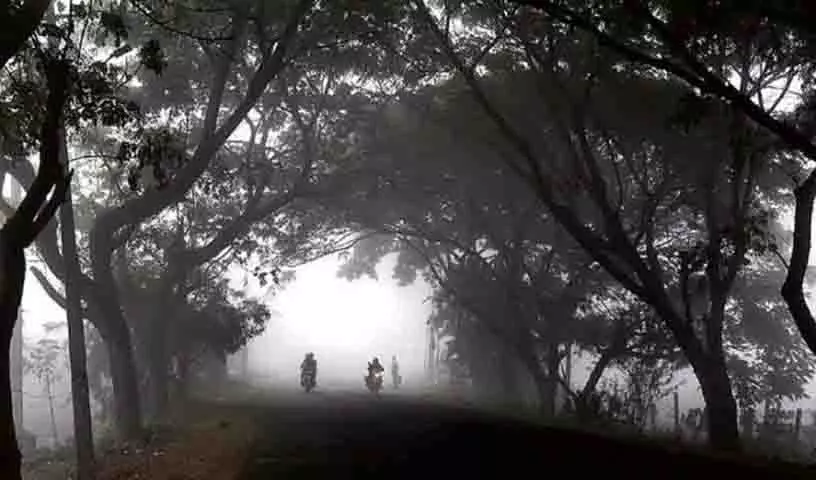राचकोंडा पुलिस का चेतावनी संदेश: कोहरे में ड्राइविंग सुरक्षित रखें राचकोंडा पुलिस का चेतावनी संदेश: कोहरे में ड्राइविंग सुरक्षित रखें