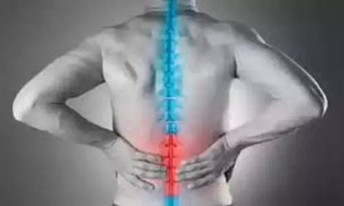 Health:रीढ़ की हड्डी को मजबूत बनाते हैं ये 4 आसान, मिलेगा गजब का फायदा Health:रीढ़ की हड्डी को मजबूत बनाते हैं ये 4 आसान, मिलेगा गजब का फायदा