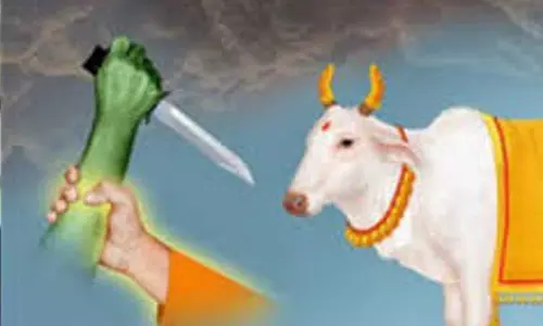 Jaipur: गो हत्या रोकने को संत समाज ने उठाई एकजुट आवाज Jaipur: गो हत्या रोकने को संत समाज ने उठाई एकजुट आवाज