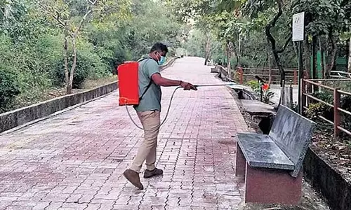 काला हिरण मौत मामला: हेमरेजिक सेप्टिसीमिया संक्रमण 31 काले हिरणों की मौत का कारण