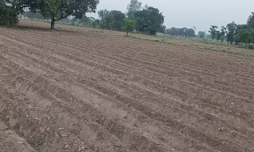 Farrukhabad: किसानों की चिंता बढ़ी, सिंचाई ठप और खाद की कालाबाजारी