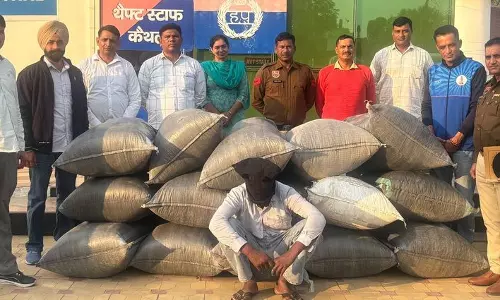 Haryana : कैथल में 30 लाख रुपये कीमत का 296 किलोग्राम डोडा पोस्त जब्त, एक गिरफ्तार
