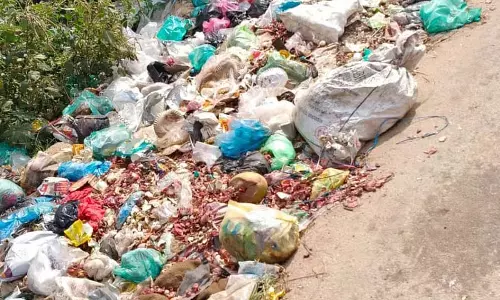 डबास शहर के आसपास कूड़े के ढेर: नागरिकों ने गहरा आक्रोश व्यक्त किया डबास शहर के आसपास कूड़े के ढेर: नागरिकों ने गहरा आक्रोश व्यक्त किया