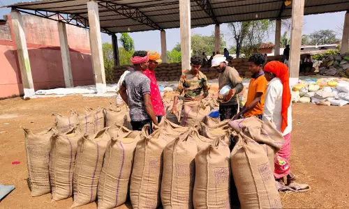 धान विक्रय में हुई सुगमता से प्रसन्नचित है बुजुर्ग किसान कोल्हु राम साहू