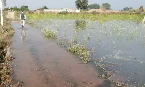Banswara: नहर ओवरफ्लो से ग्रामीणों की मुश्किलें बढ़ीं Banswara: नहर ओवरफ्लो से ग्रामीणों की मुश्किलें बढ़ीं