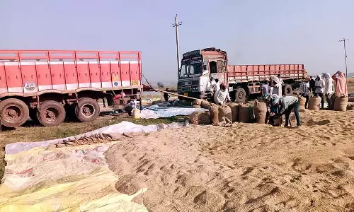 धान की कटाई शुरू: धान उत्पादकों को अच्छे दाम मिलने की उम्मीद धान की कटाई शुरू: धान उत्पादकों को अच्छे दाम मिलने की उम्मीद