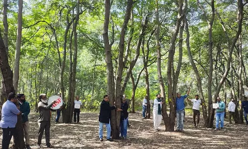 Nashik: कुंभ मेले के लिए काटे जा रहे 1,800 पेड़ों को बचाने के लिए नागरिकों ने चिपको आंदोलन चलाया Nashik: कुंभ मेले के लिए काटे जा रहे 1,800 पेड़ों को बचाने के लिए नागरिकों ने चिपको आंदोलन चलाया