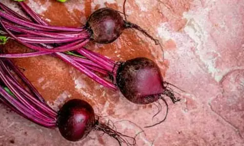 सर्दियों में चुकंदर: Health और ताकत का सुपरफूड सर्दियों में चुकंदर: Health और ताकत का सुपरफूड