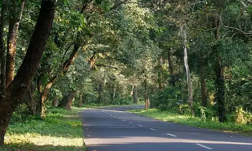 राष्ट्रीय राजमार्ग पर वन्यजीवों की मौत से चिंता बढ़ी, वन अधिकारी लतागुड़ी में गश्त करेंगे राष्ट्रीय राजमार्ग पर वन्यजीवों की मौत से चिंता बढ़ी, वन अधिकारी लतागुड़ी में गश्त करेंगे