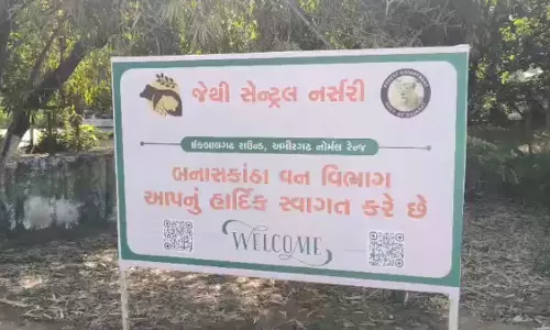 Banaskantha में नीलगाय शिकार गिरोह के 10 सदस्य गिरफ्तार