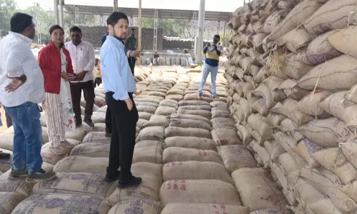 कलेक्टर ने सेलूद, उतई और कोड़िया धान उपार्जन केन्द्र का किया निरीक्षण