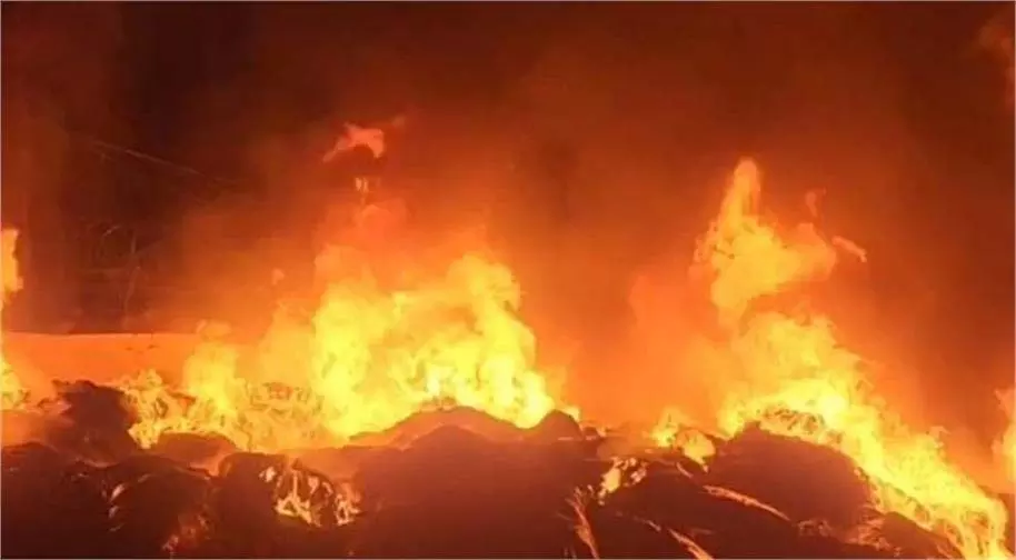 Yamunanagar: इलेक्ट्रिक स्कूटर शोरूम में अचानक लगी आग, 100 स्कूटर राख Yamunanagar: इलेक्ट्रिक स्कूटर शोरूम में अचानक लगी आग, 100 स्कूटर राख