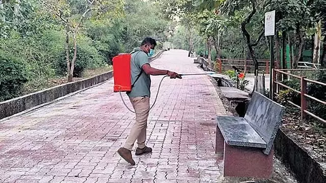 काला हिरण मौत मामला: हेमरेजिक सेप्टिसीमिया संक्रमण 31 काले हिरणों की मौत का कारण काला हिरण मौत मामला: हेमरेजिक सेप्टिसीमिया संक्रमण 31 काले हिरणों की मौत का कारण