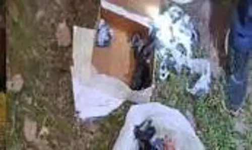 Kanpur: पोस्ट ऑफिस के बाहर संदिग्ध बॉक्स मिलने से अफरा-तफरी Kanpur: पोस्ट ऑफिस के बाहर संदिग्ध बॉक्स मिलने से अफरा-तफरी