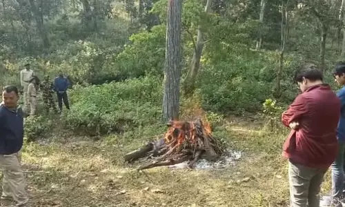 बायसनो का शिकार करने वाले 5 शिकारी गिरफ्तार, वन विभाग ने ली डॉग स्क्वॉड की मदद