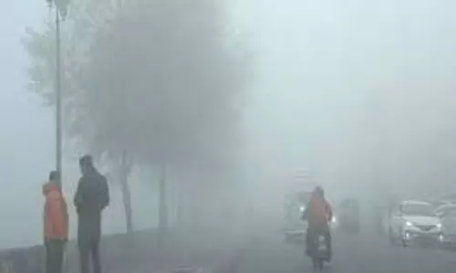 Bihar Weather: घने कोहरे की चपेट में शहर , जानें अपने शहर का हाल