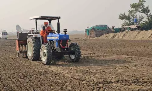 Kapurthala बलबीर सिंह सीचेवाल ने बाऊपुर मंड में किसान के लिए गेहूं बोया