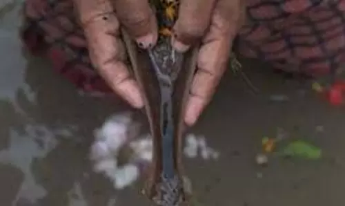 Margashirsha Amavasya 2025: मार्गशीर्ष अमावस्या पर करें ये विशेष आरती, मिलेगा पितृ दोष से छुटकारा