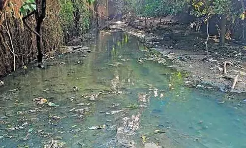 कावेरी नदी सीवेज से प्रदूषित: डिप्टी लोकायुक्त ने मांड्या डिस्ट्रिक्ट कलेक्टर को स्थायी राहत देने का निर्देश दिया कावेरी नदी सीवेज से प्रदूषित: डिप्टी लोकायुक्त ने मांड्या डिस्ट्रिक्ट कलेक्टर को स्थायी राहत देने का निर्देश दिया