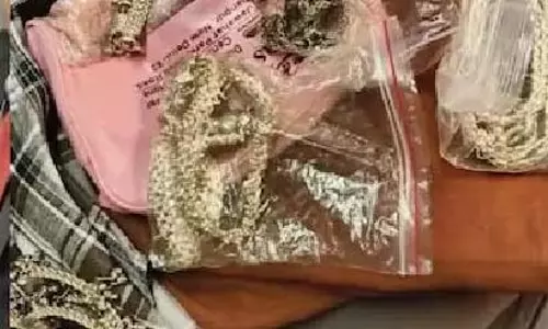 Rajasthan: लावारिस बैग से गहने कैश बरामद, यात्री की तलाश जारी Rajasthan: लावारिस बैग से गहने कैश बरामद, यात्री की तलाश जारी