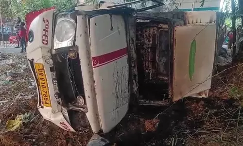 Odisha: भद्रक में अवैध मवेशी तस्करी के दौरान पिकअप वैन पलटी; 12 मवेशियों की मौत Odisha: भद्रक में अवैध मवेशी तस्करी के दौरान पिकअप वैन पलटी; 12 मवेशियों की मौत