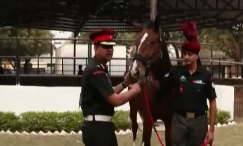 राष्ट्रपति के अंगरक्षक घोड़े: परंपरा, उत्कृष्टता, शक्ति और राष्ट्रीय गौरव का प्रतीक राष्ट्रपति के अंगरक्षक घोड़े: परंपरा, उत्कृष्टता, शक्ति और राष्ट्रीय गौरव का प्रतीक