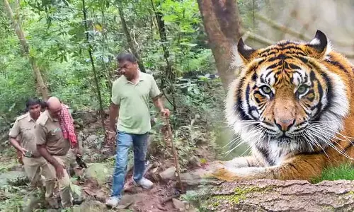 Balasore के कुलडीहा वाइल्डलाइफ़ सैंक्चुअरी में बाघों की गिनती शुरू हुई