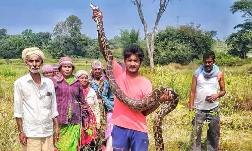 Ramnagar : 10 फुट लंबे अजगर को बचाया गया