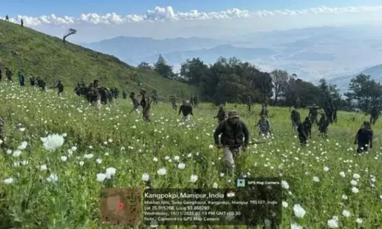 Manipur: कांगपोकपी में 190 एकड़ में अफीम की खेती नष्ट कर दी गई Manipur: कांगपोकपी में 190 एकड़ में अफीम की खेती नष्ट कर दी गई