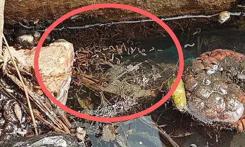 Chikkaballapur : गंदे नाले सीवेज का ढेर Chikkaballapur : गंदे नाले सीवेज का ढेर