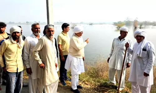 Rohtak के किसानों को अब गेहूं की फसल खराब होने का डर है।