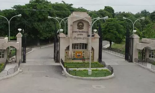 जानी-मानी IT फर्म के कैंपस प्लेसमेंट ड्राइव में UIET के 14 स्टूडेंट्स चुने गए