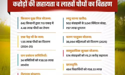 हरियाली से आर्थिक रूप से सशक्त हुए मोहला जिले के ग्रामीण हरियाली से आर्थिक रूप से सशक्त हुए मोहला जिले के ग्रामीण