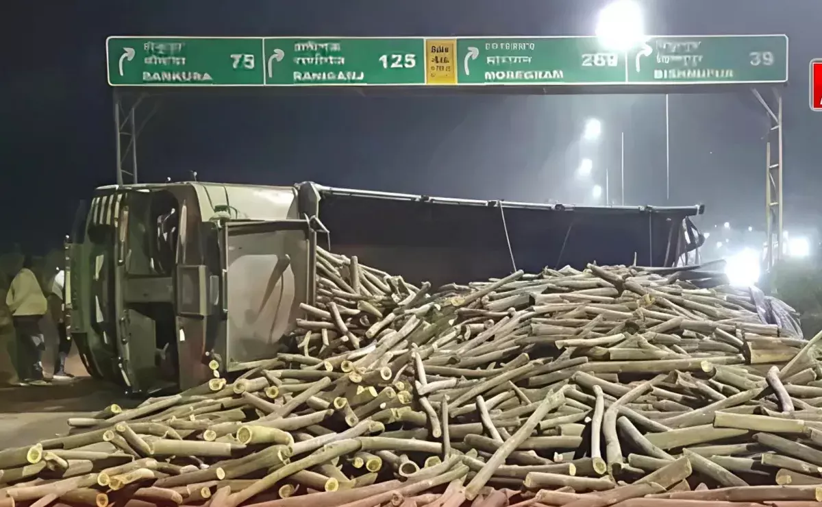 West Medinipur: अंधेरे में लकड़ी ढोते समय हादसा, मामले की पड़ताल शुरू West Medinipur: अंधेरे में लकड़ी ढोते समय हादसा, मामले की पड़ताल शुरू