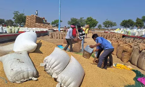किसान ईश्वर निषाद ने इत्मीनान से धान बेचा