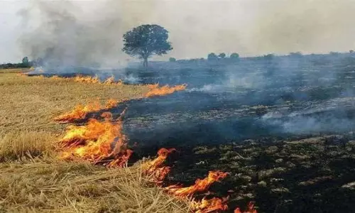 Jind: धान के अवशेष जलाने की कार्रवाई, 17 किसानों को हिरासत में लिया