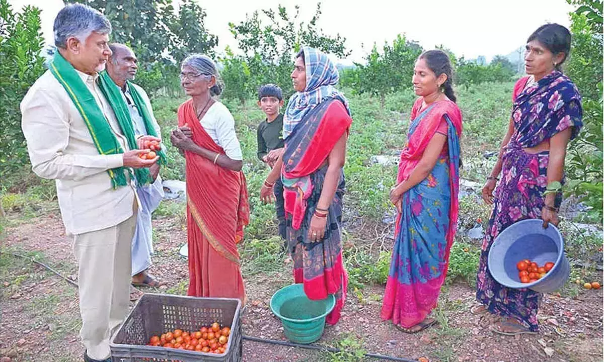 YSRCP के राज में ‘आर्थिक तबाही’ के बाद एनडीए आंध्र प्रदेश का पुनर्निर्माण कर रहा है: नायडू YSRCP के राज में ‘आर्थिक तबाही’ के बाद एनडीए आंध्र प्रदेश का पुनर्निर्माण कर रहा है: नायडू