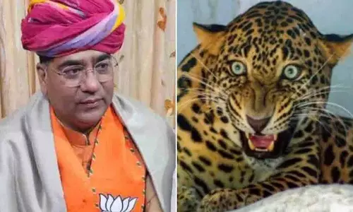 Jaipur में राजस्थान के मंत्री के घर में तेंदुआ घुसा, तलाशी अभियान जारी
