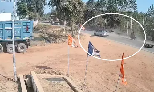 Accident का दिल दहला देने वाला मंजर, तड़पने के बाद नीलगाय की मौत