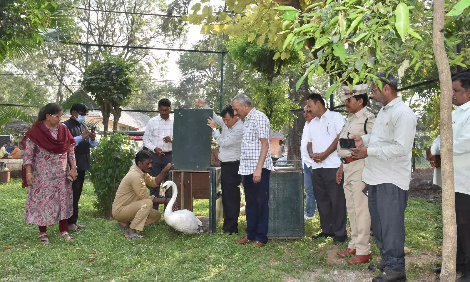 Hyderabad चिड़ियाघर में 2 सफेद हंस आए, कुल संख्या 4 हुई Hyderabad चिड़ियाघर में 2 सफेद हंस आए, कुल संख्या 4 हुई