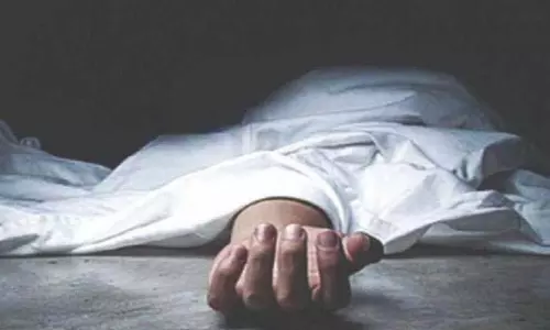 psychiatric hospital में मधुमक्खियों के जानलेवा हमले में एक की मौत, 39 घायल psychiatric hospital में मधुमक्खियों के जानलेवा हमले में एक की मौत, 39 घायल