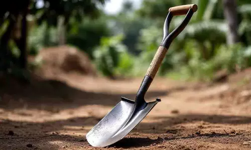 Unnao में अवैध संबंधों के शक में पति ने फावड़े से पत्नी की हत्या कर दी
