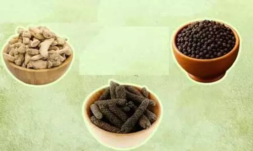 आयुर्वेद का अनमोल सूत्र त्रिकटु, एक-दो नहीं कई मर्ज की है दवा