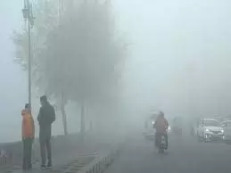 Bihar Weather: घने कोहरे की चपेट में शहर , जानें अपने शहर का हाल Bihar Weather: घने कोहरे की चपेट में शहर , जानें अपने शहर का हाल