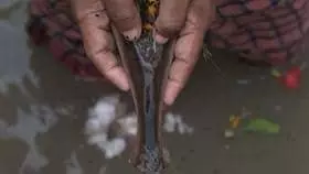 Margashirsha Amavasya 2025: मार्गशीर्ष अमावस्या पर करें ये विशेष आरती, मिलेगा पितृ दोष से छुटकारा Margashirsha Amavasya 2025: मार्गशीर्ष अमावस्या पर करें ये विशेष आरती, मिलेगा पितृ दोष से छुटकारा