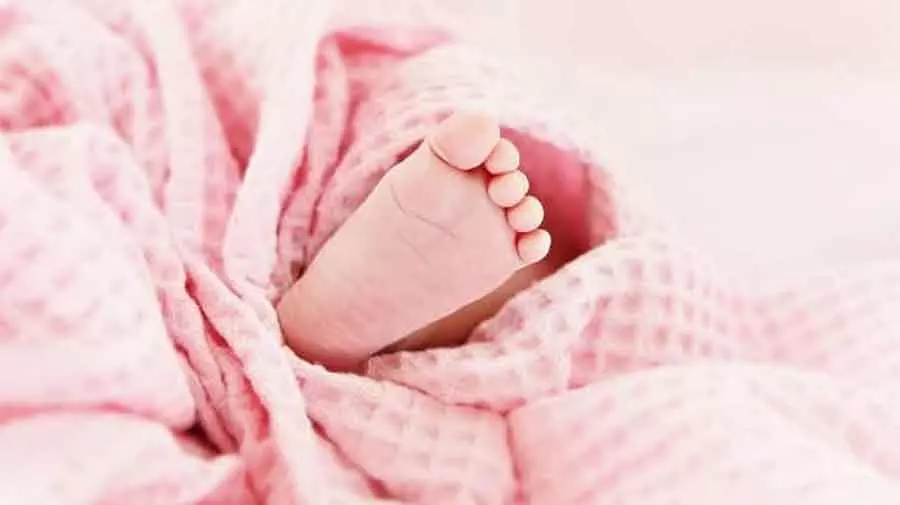 Newborns death: कर्नाटक बाल अधिकार पैनल ने स्वप्रेरणा से मामला दर्ज किया Newborns death: कर्नाटक बाल अधिकार पैनल ने स्वप्रेरणा से मामला दर्ज किया