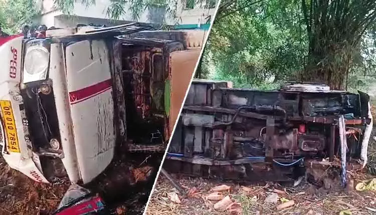 Bhadrak में पिकअप वैन पलटने से 12 मवेशियों की मौत Bhadrak में पिकअप वैन पलटने से 12 मवेशियों की मौत
