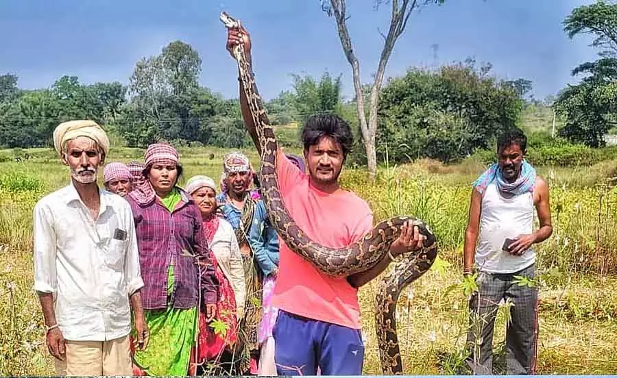 Ramnagar : 10 फुट लंबे अजगर को बचाया गया Ramnagar : 10 फुट लंबे अजगर को बचाया गया
